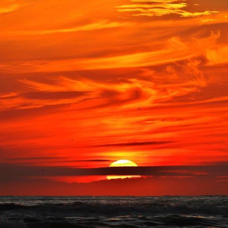 Ferienhaus Geniessen Am Meer Mit Wellnesszugang เอ็กมอนด์อานเซ ภายนอก รูปภาพ